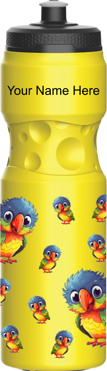 Rainbow Lorikeet Water Bottles
