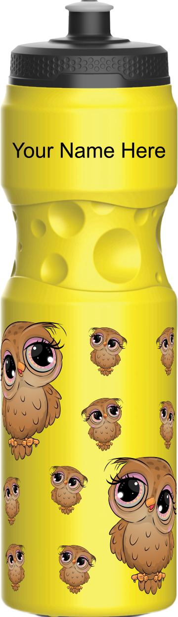 Owl Water Bottles