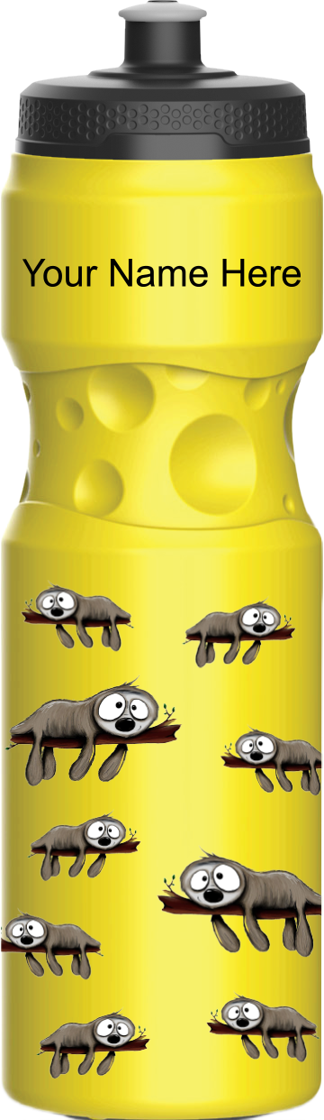 Snoozy Sloth Water Bottles