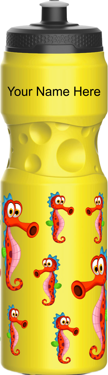 Sassy Seahorse Water Bottles
