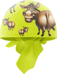 Donkey Bandannas 1