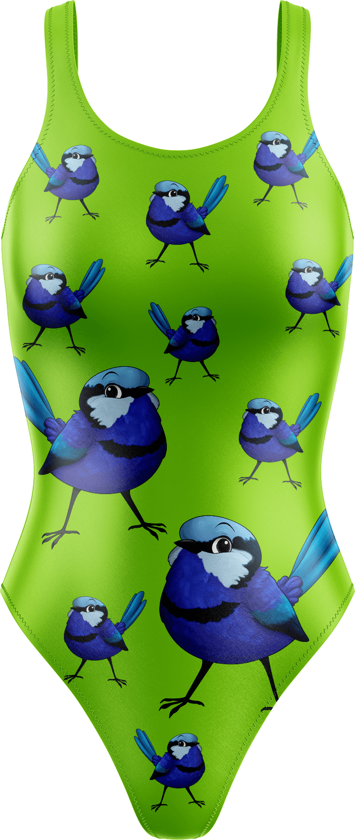 Blue Wren Swimsuits