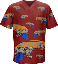 Bluey Lizard Scrubs 2