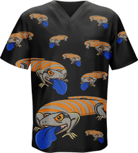 Bluey Lizard Scrubs 1