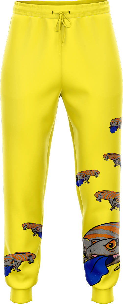 Bluey Lizard Tracky Dacks