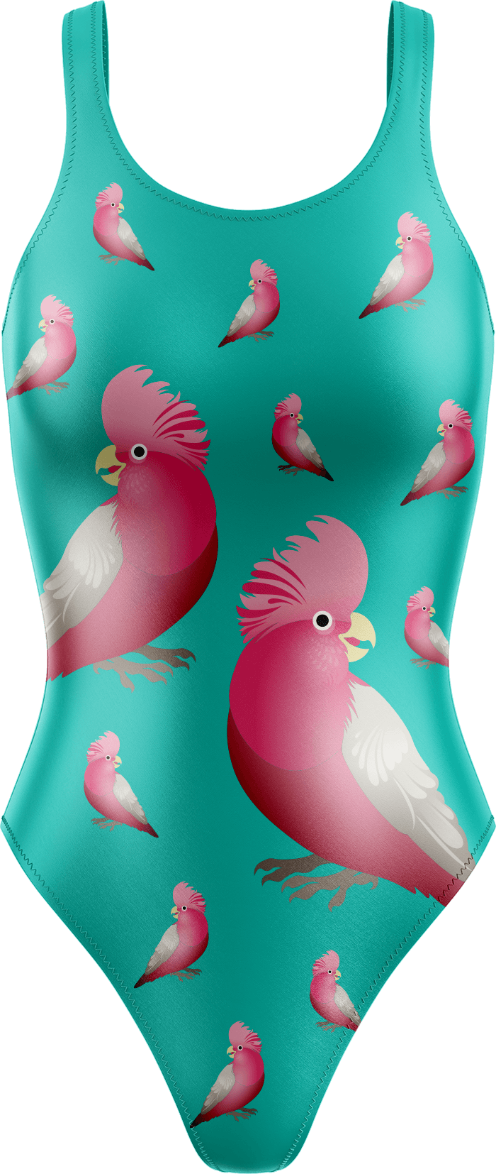 Glama Galah Swimsuits - fungear.com.au