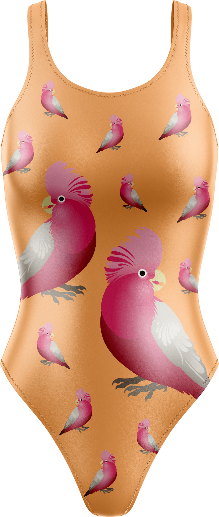 Glama Galah Swimsuits