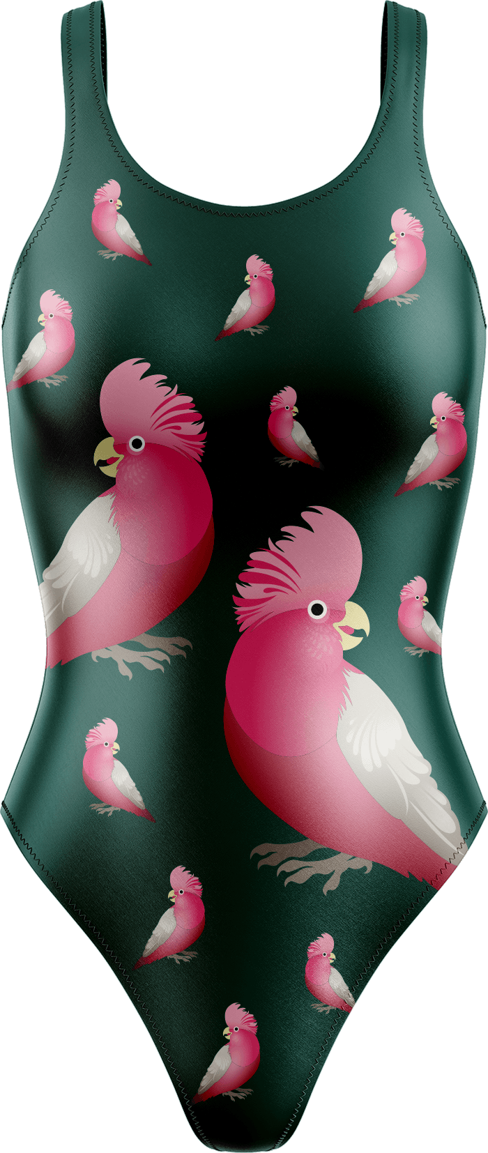 Glama Galah Swimsuits - fungear.com.au