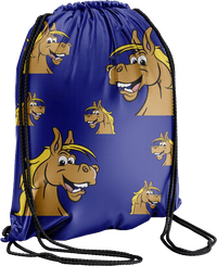 Hero Horse Back Bag 2