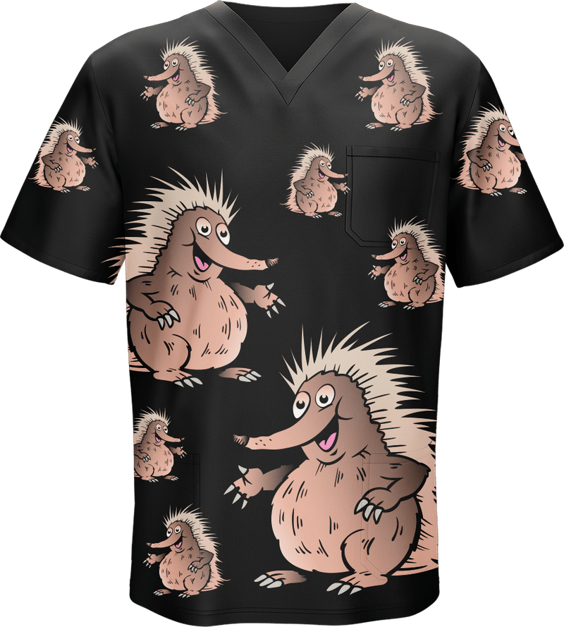 Spunky Echidna Scrubs